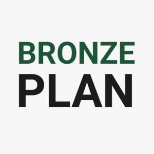 Bronze Internet Plan