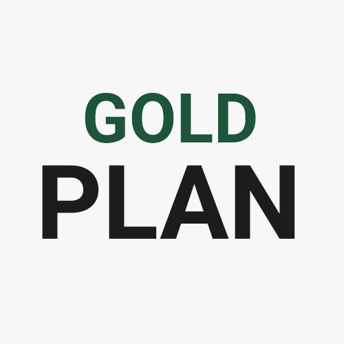 Gold Internet Plan