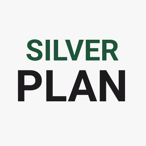 Silver Internet Plan